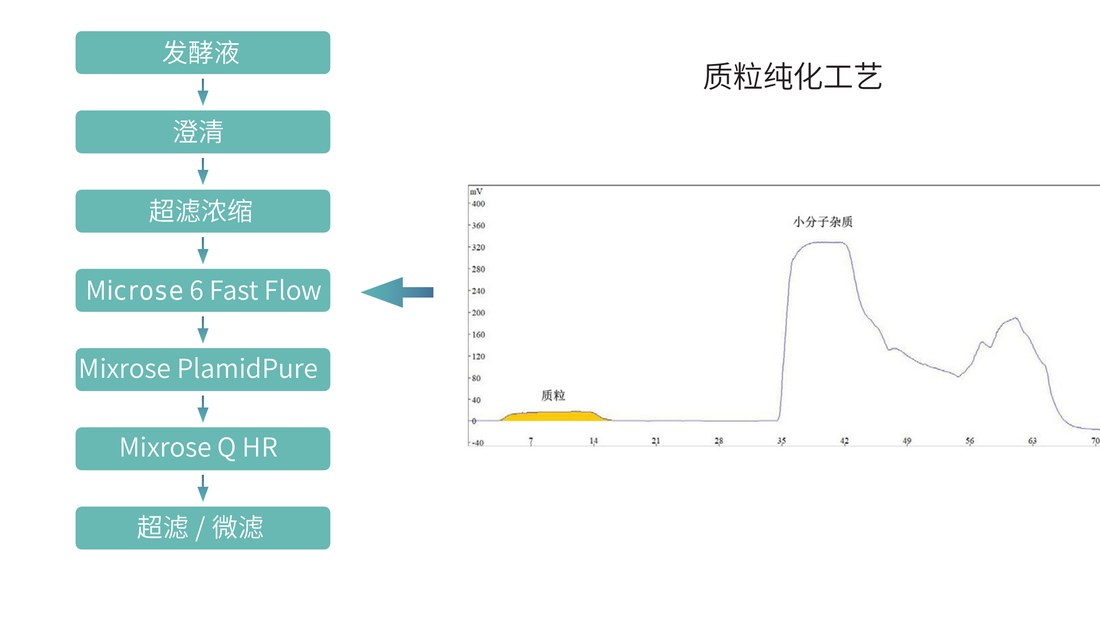 Process flow for supercoiled plasmid pDNA purification on Microse 6 Fast Flow