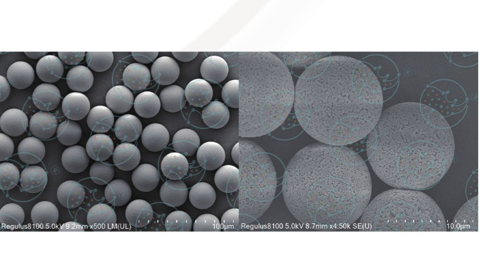 Scanning electron micrograph of the ion exchange chromatography media