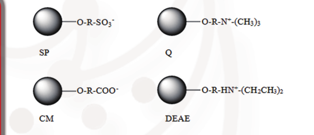Structure of the ion exchange chromatography media